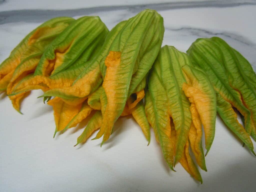 Fresh courgette flowers.