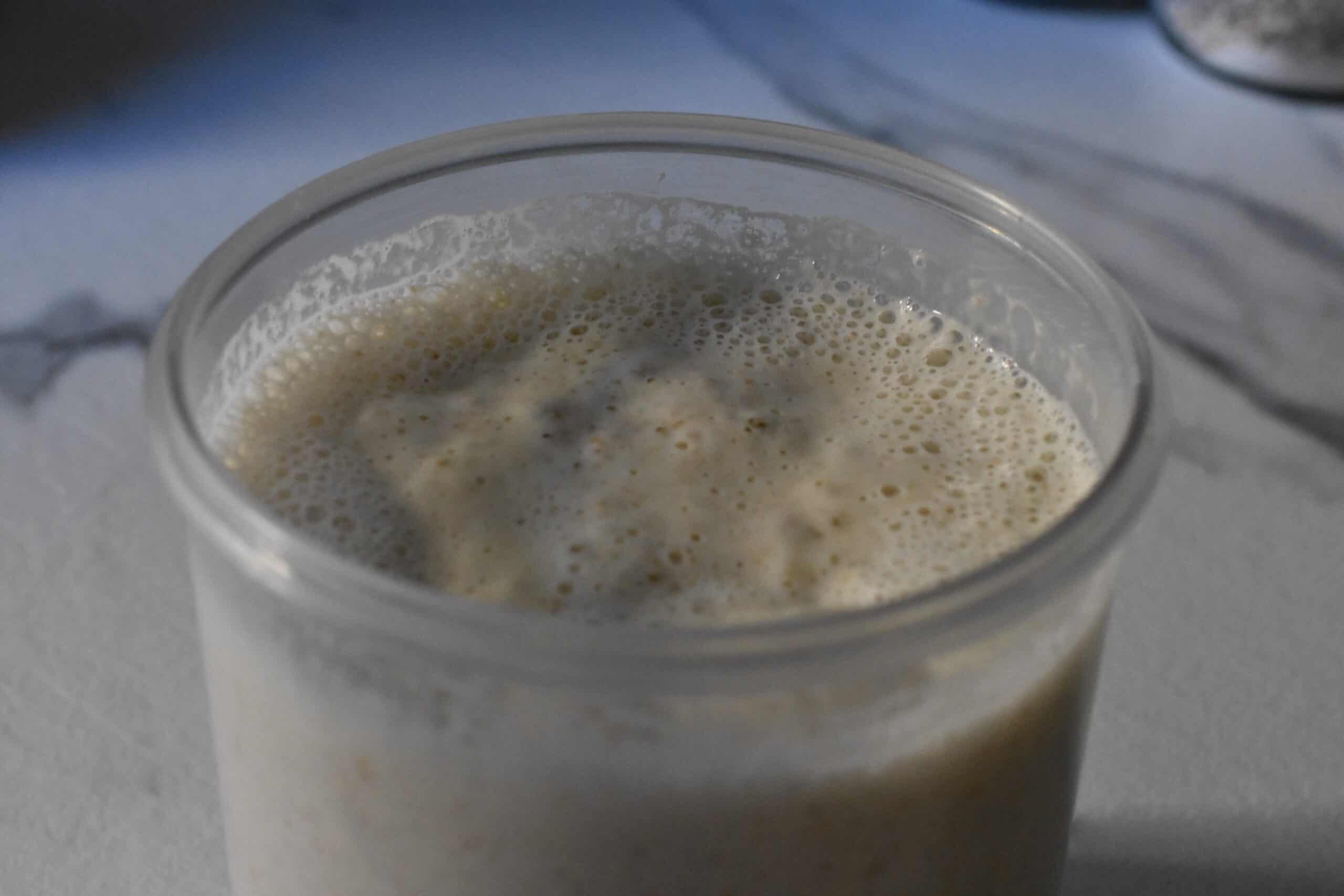 Fresh sourdough starter, recently fed and ready for use