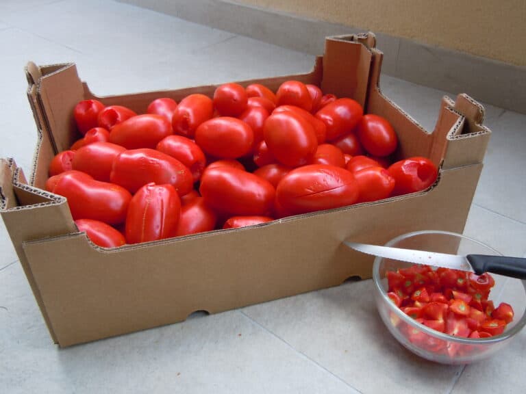 A 6 kg cardboard crate of Italian plum tomatoes 