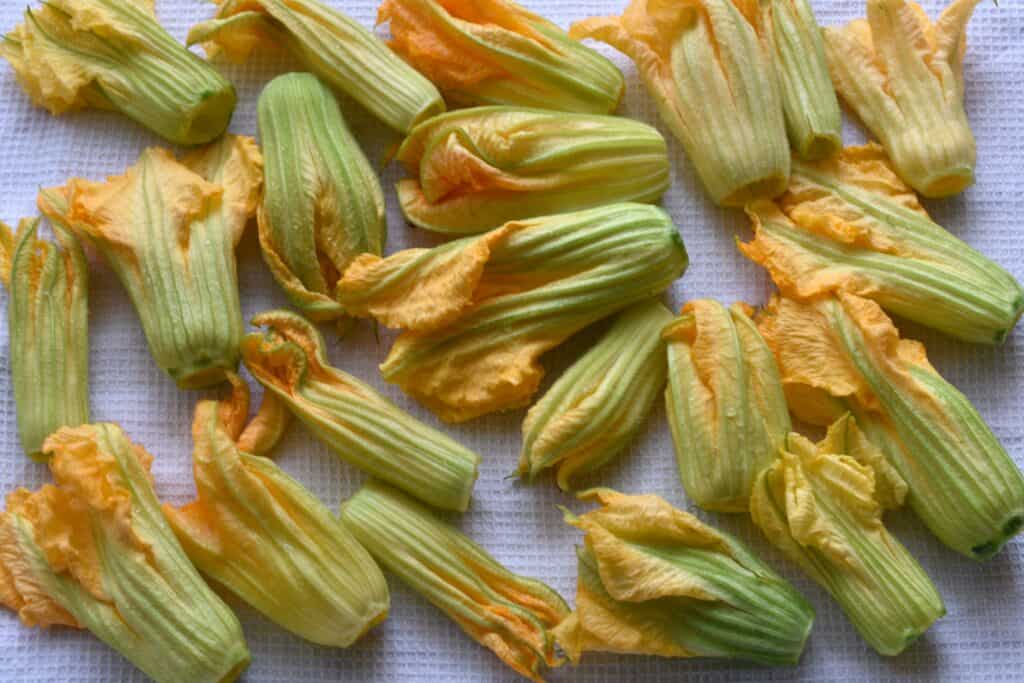 Trimmed courgette flowers on a kitchen towel.