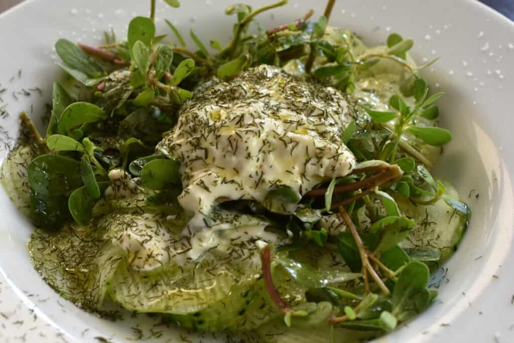 Purslane and cucumber salad with vegan yoghurt dressing on a white plate