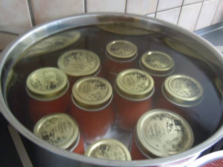 Jars of homemade tomato sauce in a hot water bath 