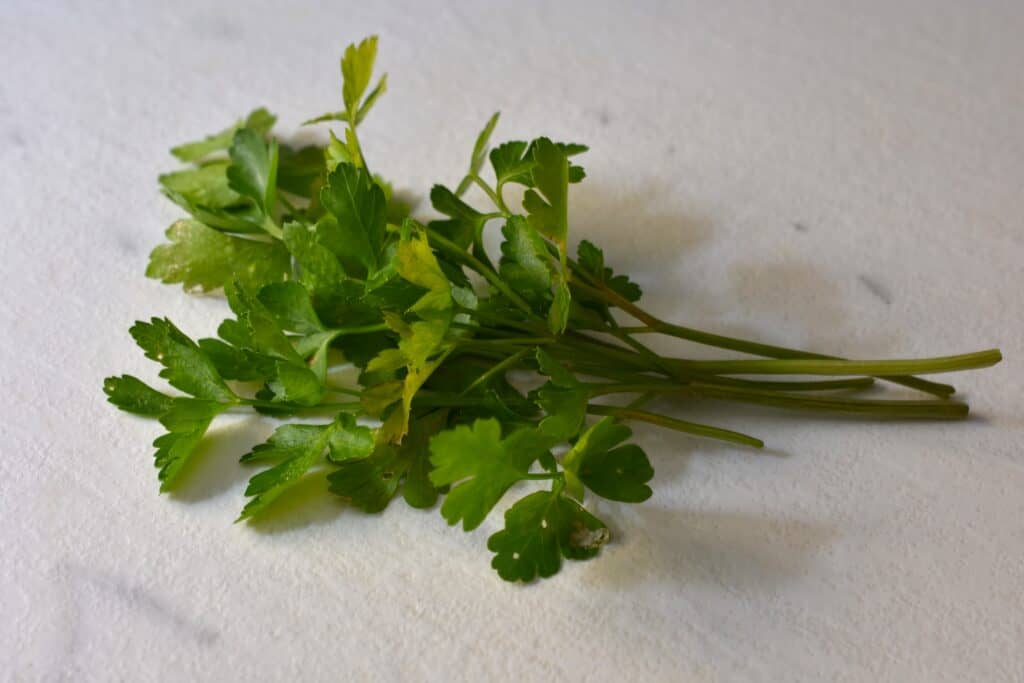 Sprigs of parsley for making vegetable broth.