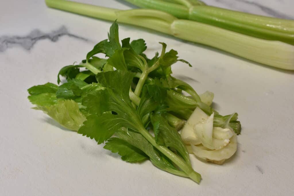 Celery trimmings on a kitchen worktop.