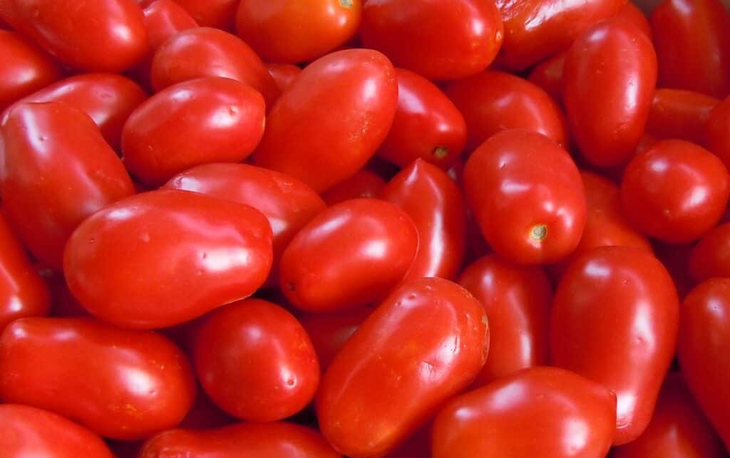 Italian plum tomatoes.