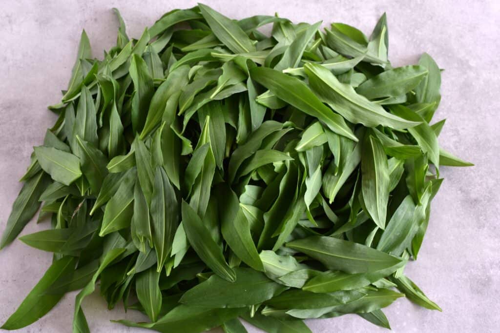 Wild garlic (ramsons) leaves on a kitchen worktop.