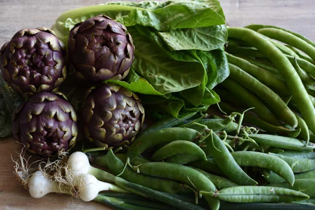 Roman mammole artichokes, broad (fava) beans, peas, Romaine lettuce and spring onions on a table.