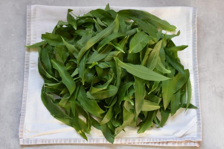 Washed and thoroughly dried wild garlic leaaves on a kitchen cloth