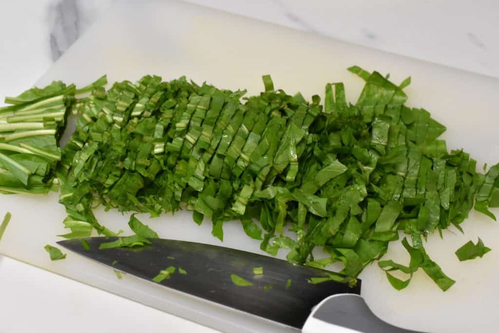 Italian spadona chicory cut into thin strips.