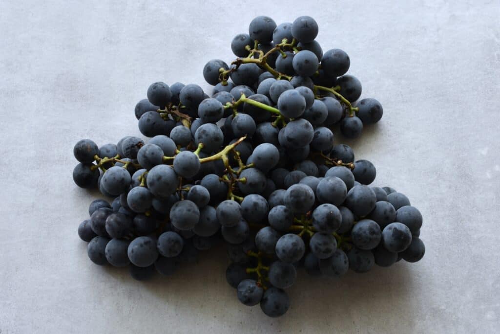 A bunch of concord grapes on a table.