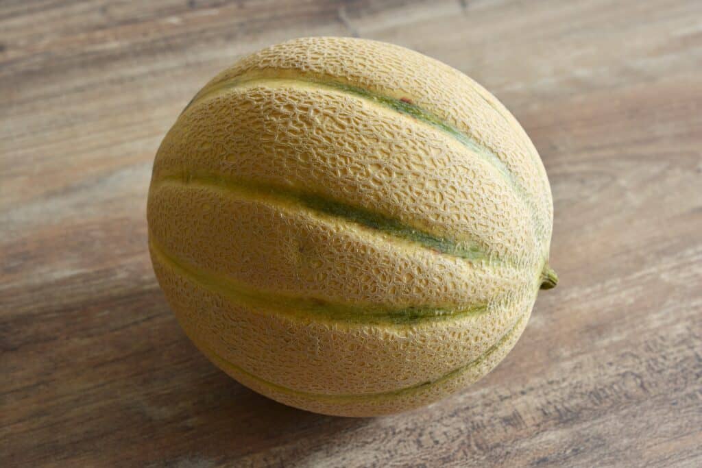 A whole Italian netted (Cantaloupe) melon on a wooden table.