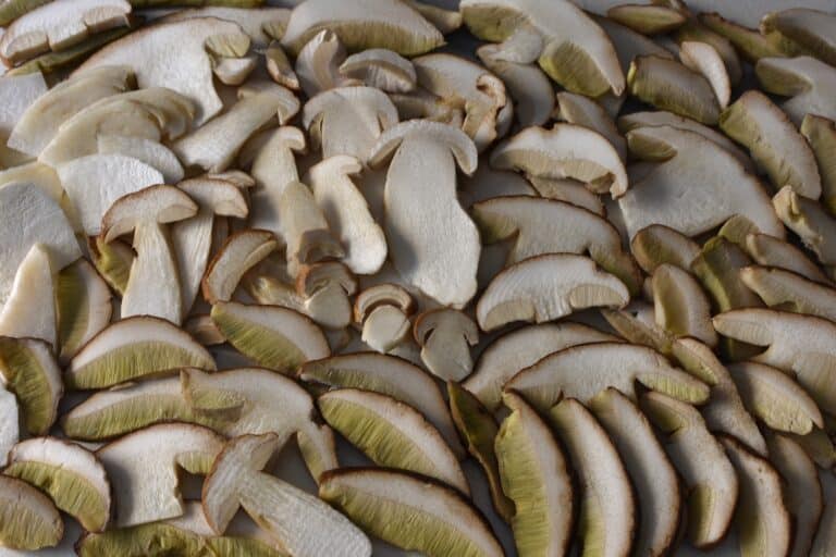 Sliced porcini mushrooms.