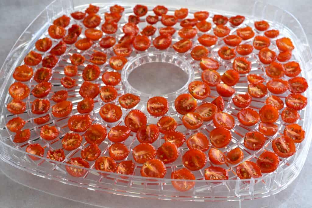 Semi-dried cherry tomatoes on a dehydrator tray.